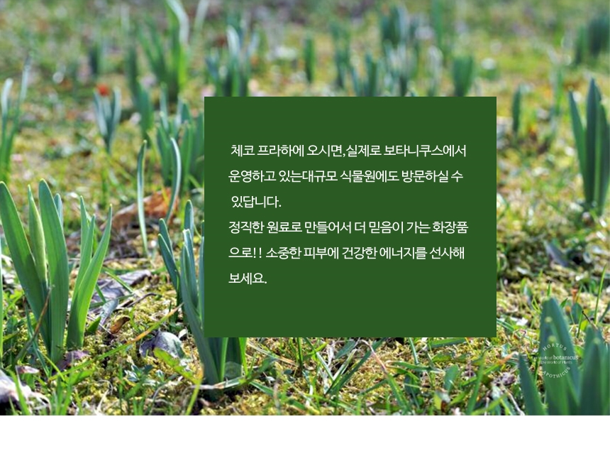 보타니쿠스 Shea Lip Balm Mint